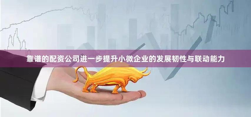 靠谱的配资公司进一步提升小微企业的发展韧性与联动能力