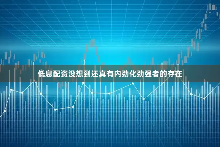 低息配资没想到还真有内劲化劲强者的存在