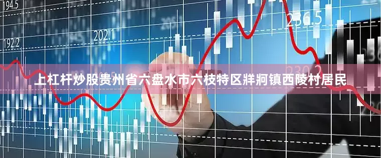 上杠杆炒股贵州省六盘水市六枝特区牂牁镇西陵村居民