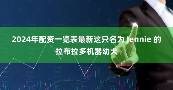 2024年配资一览表最新这只名为 Jennie 的拉布拉多机器幼犬